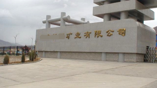 山東某大型礦業(yè)集團